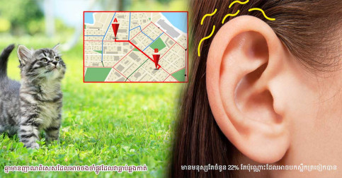 ១៥ រឿងរ៉ាវ បង្ហាញពីទិដ្ឋភាពមិននឹកស្មានដល់ នៃពិភពលោក ដែលមនុស្សមិនដែលចាប់អារម្មណ៍