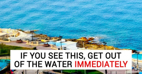 12 Facts That Can Save Your Life One Day
