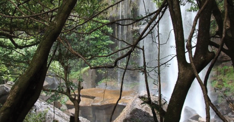 រមណីយដ្ឋាន​ទេសចរណ៍​​៤កន្លែងទឹកដី​ខេត្តកំពង់​ស្ពឺ​ដែល​មាន​ប្រជាប្រិយ​ភាពខ្លាំងគឺ