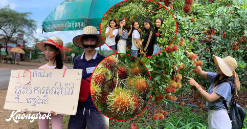 តោះ ទៅលេងចម្ការសាវម៉ាវ ញ៉ាំមួយឆ្អែតត្រឹមតែ 3$ ហើយបានថតរូបលេងសប្បាយដោយសេរីទៀត