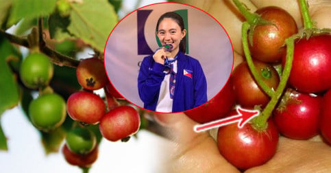 អស្ចារ្យមែន! ទើបតែអាយុ ១៦ឆ្នាំ ក្លាយជាអ្នកវិទ្យាសាស្ត្រវ័យក្មេង ដោយសារតែរកឃើញវិធីព្យាបាលជំងឺទឹកនោមផ្អែមពីផ្លែក្រខុប! (មានវីដេអូ)