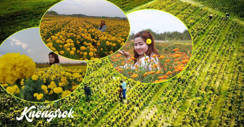 ថ្មីទៀតហើយ  សួនផ្កាស្បៃរឿងកំពង់ធំ កំពុងតែទាក់ទាញអ្នកមកលេងកម្សាន្តមកជួបជុំថតរូបលេងយ៉ាងរីករាយ