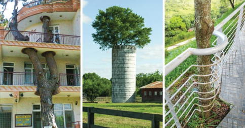25 Deep Photos About Respect for Nature That Can Make Us Proud of Humanity