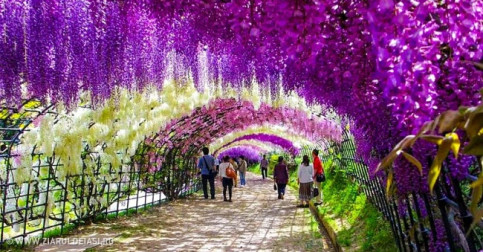 21 Gorgeous Places Where We’d Like to Stay Forever