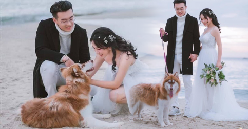 Love Me Love My Dog អ្នកណាខ្លះធ្លាប់ឮពាក្យនេះ?