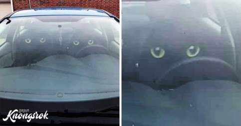 15 Cool Things Whose Designers Must’ve Shouted Out “I’m a Friggin’ Genius!”