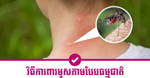 មានដែលឆ្ងល់អត់ថាមិចបានពេលខ្លះមូសខាំតែយេីង ហេីយមិនខាំអ្នកផ្សេងសោះ នេះជាមូលហេតុ និងវិធីការពារតាមបែបធម្មជាតិ