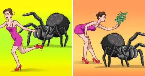 9 Ways to Keep Spiders and Insects Out of Your House