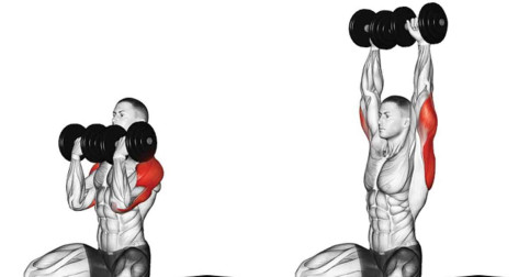 11 Shoulder Exercises That Would Make Arnold Schwarzenegger Proud of You