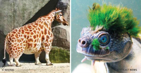 23 Photos That Seem to Have Nothing Special at First Glance. Or, Wait