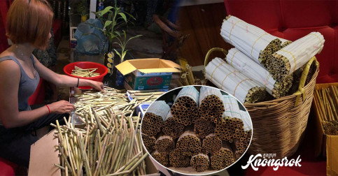 ជួយគាំទ្រផលិតខ្មែរផង! ទុយោធ្វេីអំពីឫស្សី​ សម្រាប់ជួយដល់បរិស្ថានពេលនេះមានលក់ហេីយ​ !