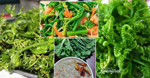 អន្ទូញ ឬប្រមោយដំរី ជាបន្លែជនជាតិភាគតិច ដែលមិនត្រឹមតែឆ្ងាញ់ តែផ្តល់ប្រយោជន៍ដល់សុខភាពច្រើនមិនធម្មតា!