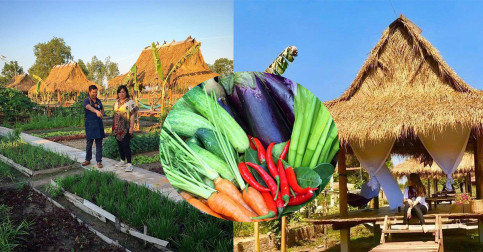 ខប់ៗណាស់ ទីកន្លែងកំសាន្តមានផាសុខភាពហើយបានញ៉ាំបន្លែបេះភ្លាមៗគ្មានជាតិគីមីទៀត