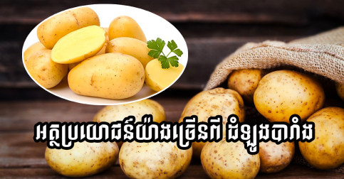 អត្ថប្រយោជន៍ដ៏សំខាន់របស់ ដំឡូងបារាំង ដែលគ្រប់គ្នាមិនធ្លាប់បានដឹង!