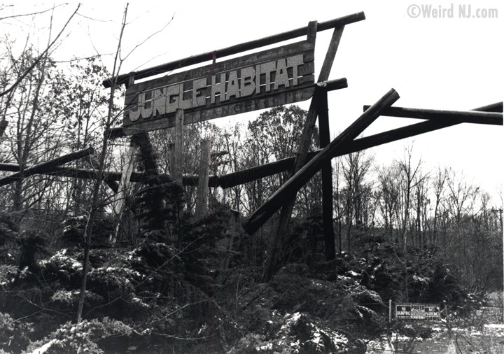 Jungle Habitat Sign