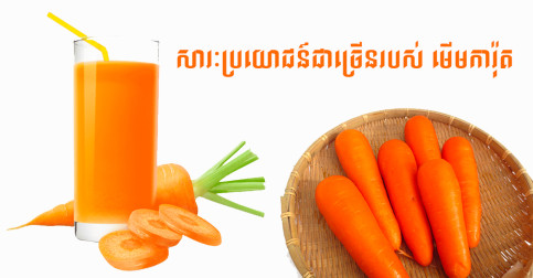 សារប្រយោជន៍របស់មើមការ៉ុត ដែលអ្នកគួរតែដឹង កុំរំលងឱ្យសោះ