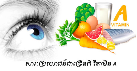 សារៈប្រយោជន៍នៃ Vitamin A ដែលអ្នកគួរតែដឹងឱ្យបានកាន់តែច្បាស់