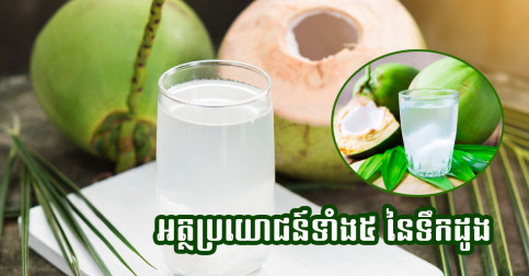 សារៈប្រយោជន៍ទាំង៥ នៃទឹកដូង ដែលល្អខ្លាំងសម្រាប់សុខភាព