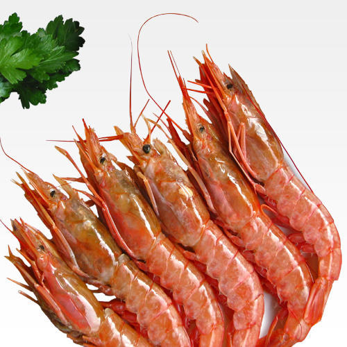 Jumbo Prawns 500x500