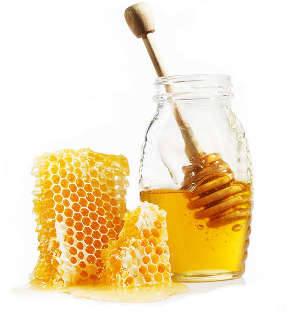 About Honey