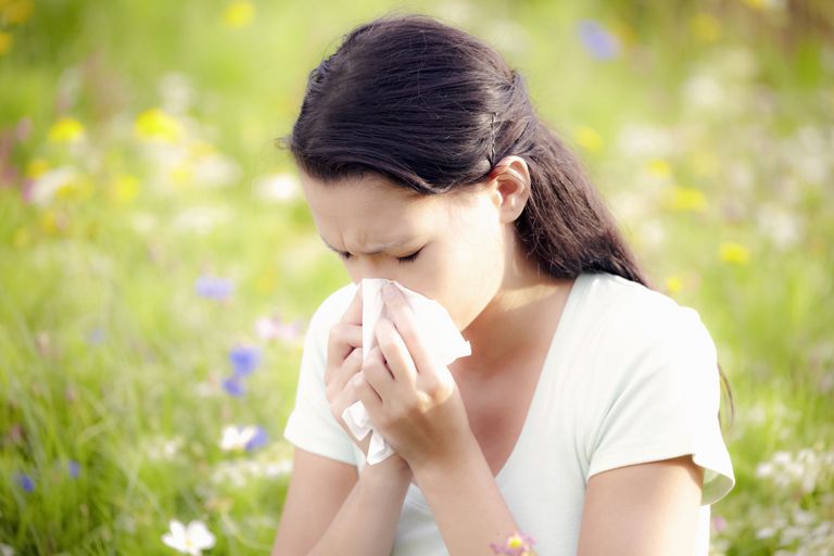 Hay_fever 5b5c6d3846e0fb00508b3443