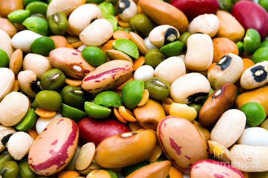 Dried Legumes And Cereals Fabrizio Troiani