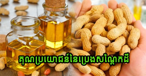 គុណប្រយោជន៍នៃប្រេងសណ្តែកដី ដែលអ្នកគួរតែដឹង