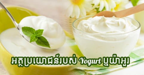 មុននឹងទទួលទាន Yogurt ឬយ៉ាអួរ អ្នកគួរតែដឹងពីសារៈប្រយោជន៍របស់វាឱ្យបានច្បាស់