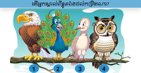 ជ្រើសរើសបក្សីមួយដែលពេញចិត្ត អាចទម្លាយចំៗថាអ្នកជាប្រភេទមនុស្សបែបណា?