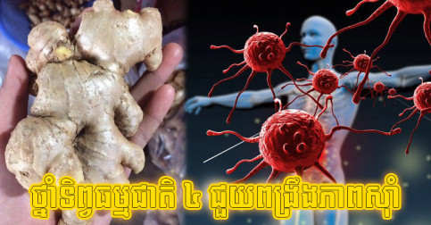 ថ្នាំ​ទិព្វ​ធម្មជាតិ​ទាំង ៤ អាច​ពង្រឹង​ភាពស៊ាំ​បាន​ល្អ​បំផុត ដែល​អ្នក​មិន​គួរ​ខ្វះ​