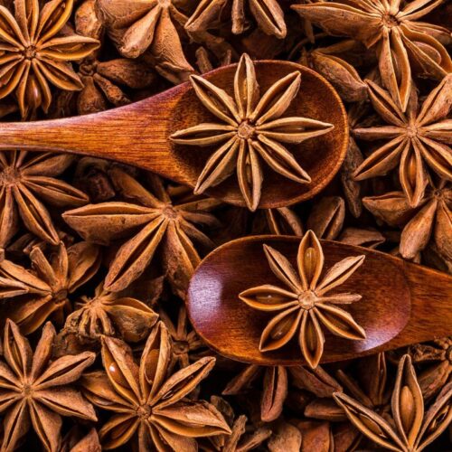 All About Star Anise Know Your Spice Star Anise Or Chakra Phool Illicium Verum 500x500