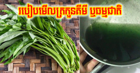 ចែក​គ្នា​បាន​ដឹង​ កុំ​ឲ្យ​ខូច​សុខភាព! នេះ​របៀប​មើល​ត្រកួន​ធម្មជាតិ និង​ត្រកួន​បាញ់​ថ្នាំ