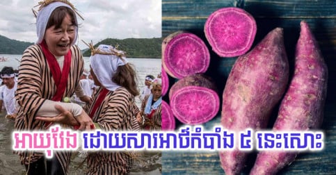 នៅ​ជប៉ុន​មាន​ភូមិ​មួយ​នោះ ប្រជាជន​អាយុ​វែង​ណាស់ តាម​ពិត​ដោយសារ​អាថ៌កំបាំង ៥ នេះ​សោះ