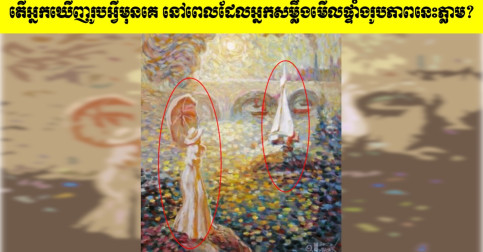 តេស្តចិត្តសាស្រ្ត! តើអ្នកឃើញរូបអ្វីមុនគេ នៅពេលដែលអ្នកសម្លឹងមើលផ្ទាំងរូបភាពនេះភ្លាម?