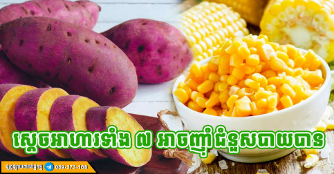 ស្ដេចអាហារទាំង ៧ អាចទទួលទានជំនួសបាយបានយ៉ាងល្អបំផុត អ្នកគួរតែសាកល្បង