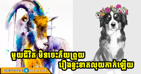មួយជីវិតអ្នកឆ្នាំទាំង ៤ នេះ ពោរពេញដោយលាភសំណាង ទាំងស្នេហា លុយកាក់ មិនចេះខ្វះខាតឡើយ