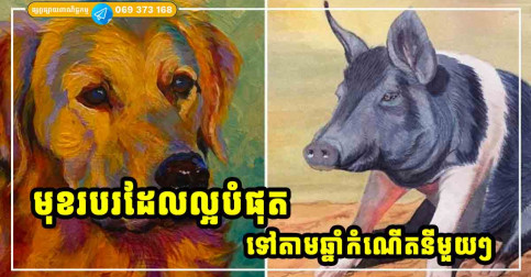 មុខរបរ ដែលល្អ និងសក្តិសម សម្រាប់អ្នកឆ្នាំទាំង ១២ ជួយឱ្យអ្នករកលុយបានលឿនបំផុត