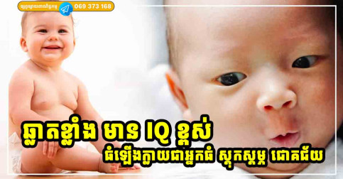 ឆ្លាតខ្លាំង! កូនដែលមានចំណុចទាំង ៦ នេះ មាន IQ ខ្ពស់ណាស់ អនាគតភ្លឺស្វាង រុងរឿង ជោគជ័យ