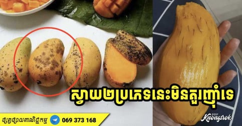 ស្វាយទុំមានរសជាតិផ្អែមសំបូរដោយវីតាមីន ប៉ុន្តែស្វាយ ២ ប្រភេទនេះទោះតម្លៃថោក មិនត្រូវទិញទទួលទានទេ