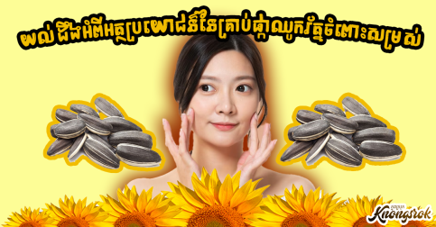 តើអ្នកដឹងទេ? គ្រាប់ផ្កាឈូករ័ត្នមានអត្ថប្រយោជន៍ច្រើនណាស់ក្នុងការថែរក្សាសម្រស់ឱ្យនៅក្មេងជាងវ័យ