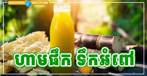 មនុស្ស ៤ ក្រុម ដាច់ខាត ហាមទទួលទាន ទឹកអំពៅ