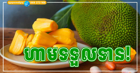 មនុស្ស ៤ ប្រភេទ ដាច់ខាត ហាមទទួលទានផ្លែខ្នុរ
