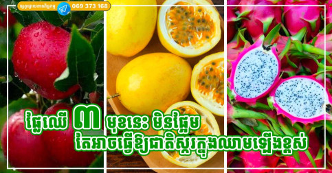 ផ្លែឈើ ៣ ប្រភេទ មិនផ្អែម ប៉ុន្តែអាចធ្វើឱ្យជាតិស្ករក្នុងឈាមឡើងខ្ពស់