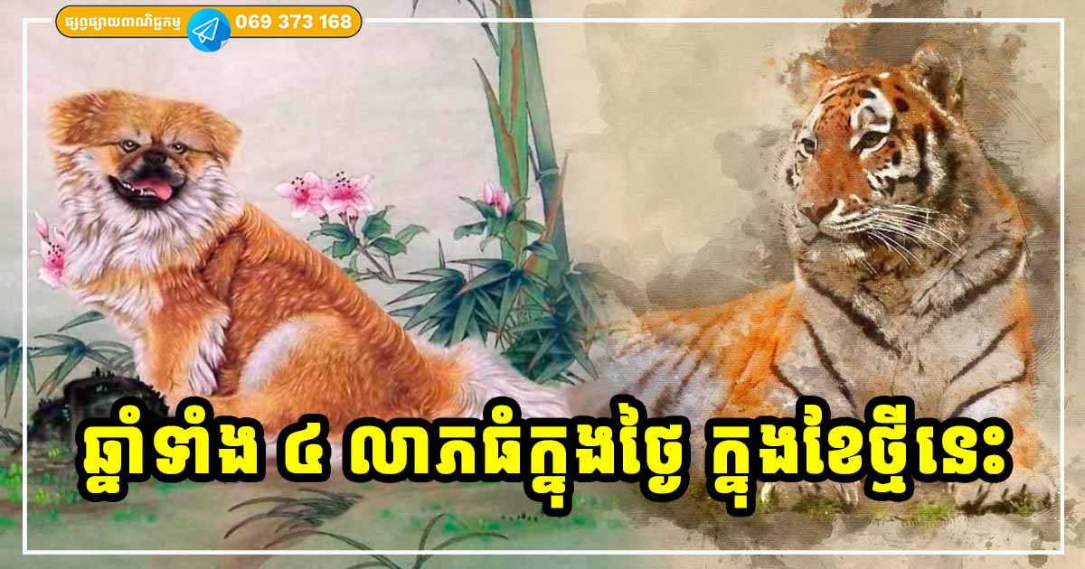 ខែថ្មីលាភធំក្នុងដៃ អ្នកឆ្នាំទាំង ៤ លុយហូរចូលសន្ធឹក ខែថ្មីលាភធំក្នុងដៃ អ្នកឆ្នាំទាំង ៤ លុយហូរចូលសន្ធឹក