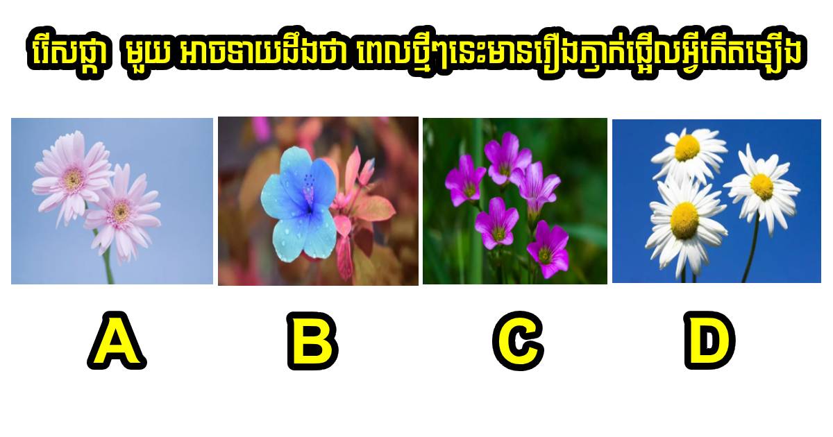 ផ្កាសំណាងទាំង ៤! រើសផ្កាមួយ អាចទាយដឹងថា ពេលថ្មីៗនេះ អ្នកនឹងមានរឿងភ្ញាក់ផ្អើលអ្វីកើតឡើង?
