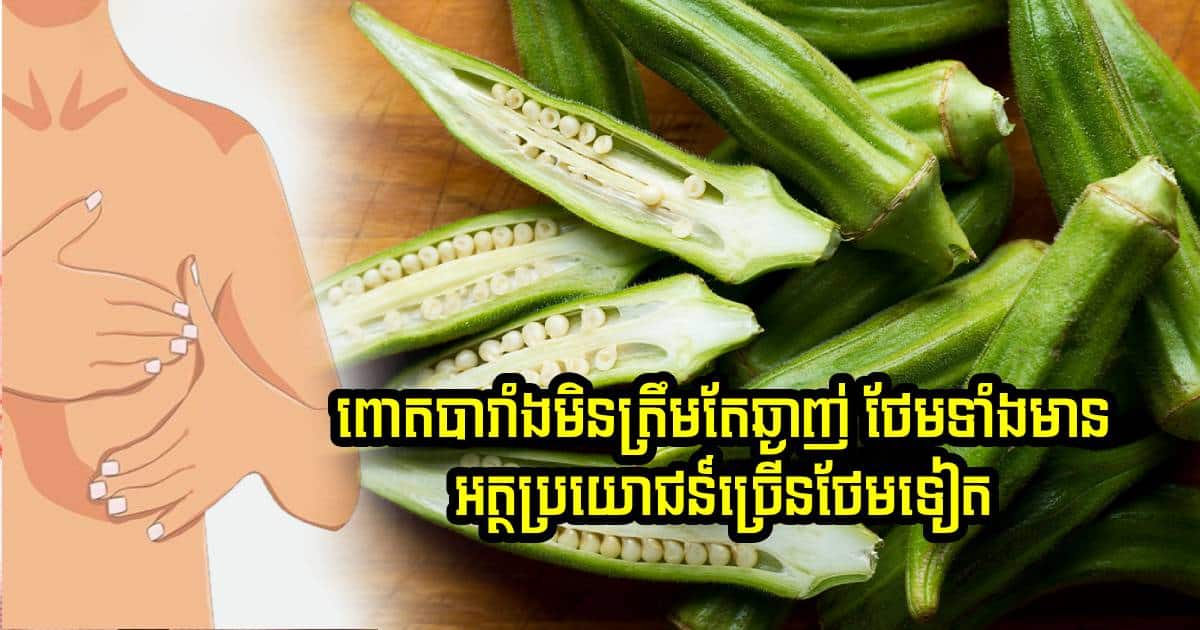 ពោតបារាំង មិនត្រឹមតែឆ្ងាញ់ទេ ថែមទាំងមានអត្ថប្រយោជន៍ច្រើនថែមទៀត