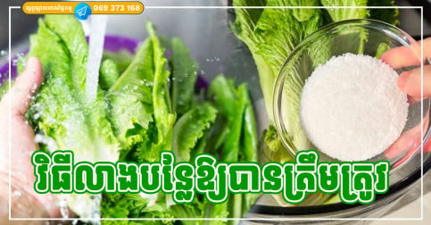 មេផ្ទះទាំងអស់គួរតែដឹង! វិធីលាងបន្លែមួយចំនួនដែលអ្នកគិតថាមិនអី តែវាបង្កគ្រោះថ្នាក់ បង្កើជាតិពុលខ្លាំងណាស់