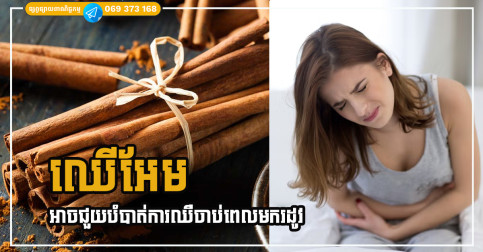 តិចអត់ដឹង! ឈើអែម ជាឳសថទិព្វសម្រាប់ការឈឺចាប់ពេលមករដូវ