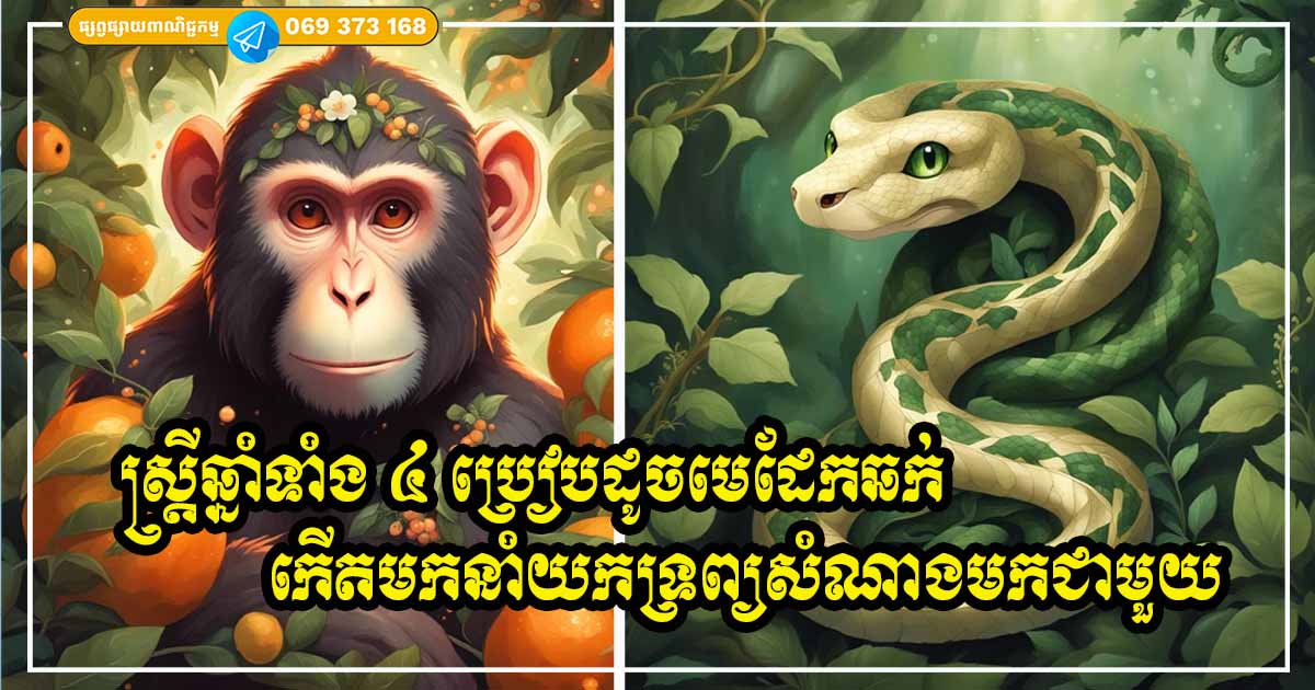 ស្ត្រីឆ្នាំទាំង ៤ ប្រៀបដូចមេដែកឆក់លុយកាក់ លាភសំណាង នាំមកនូវភាពរីកចម្រើនគ្រប់កន្លែង ស្ត្រីឆ្នាំទាំង ៤ ប្រៀបដូចមេដែកឆក់លុយកាក់ លាភសំណាង នាំមកនូវភាពរីកចម្រើនគ្រប់កន្លែង