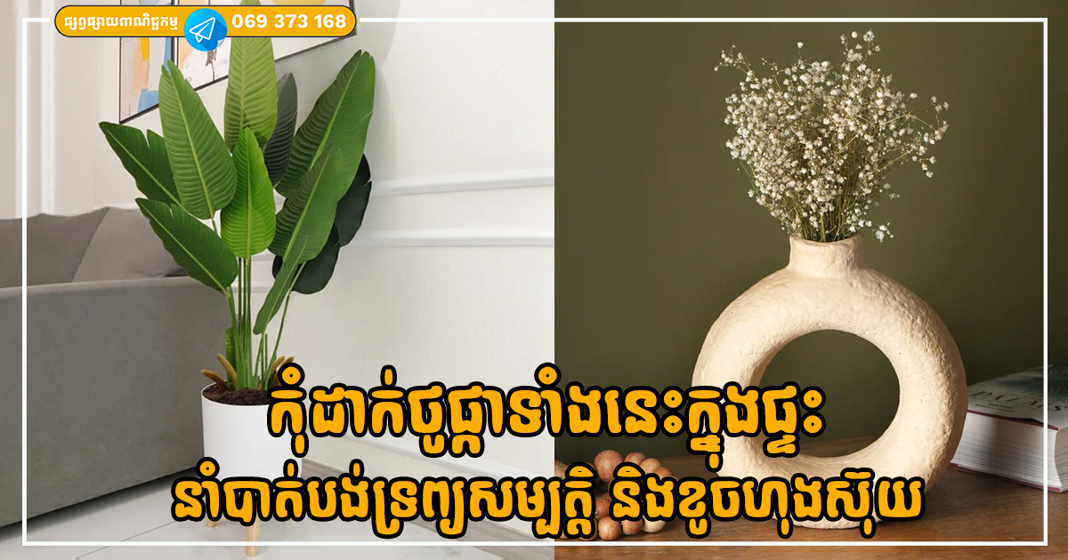 កុំដាក់ថូផ្កាទាំងនេះក្នុងផ្ទះ បើមិនចង់ឱ្យបាត់បង់ទ្រព្យសម្បត្តិ និងខូចហុងស៊ុយ កុំដាក់ថូផ្កាទាំងនេះក្នុងផ្ទះ បើមិនចង់ឱ្យបាត់បង់ទ្រព្យសម្បត្តិ និងខូចហុងស៊ុយ